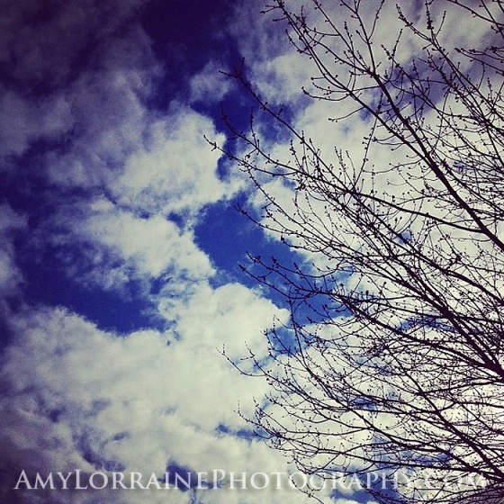 AmyLorrainePhotography.com